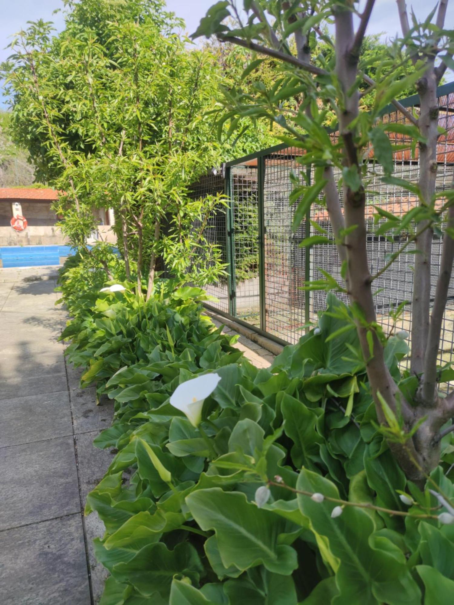 Real Santo Antonio Guest House Tarouca エクステリア 写真