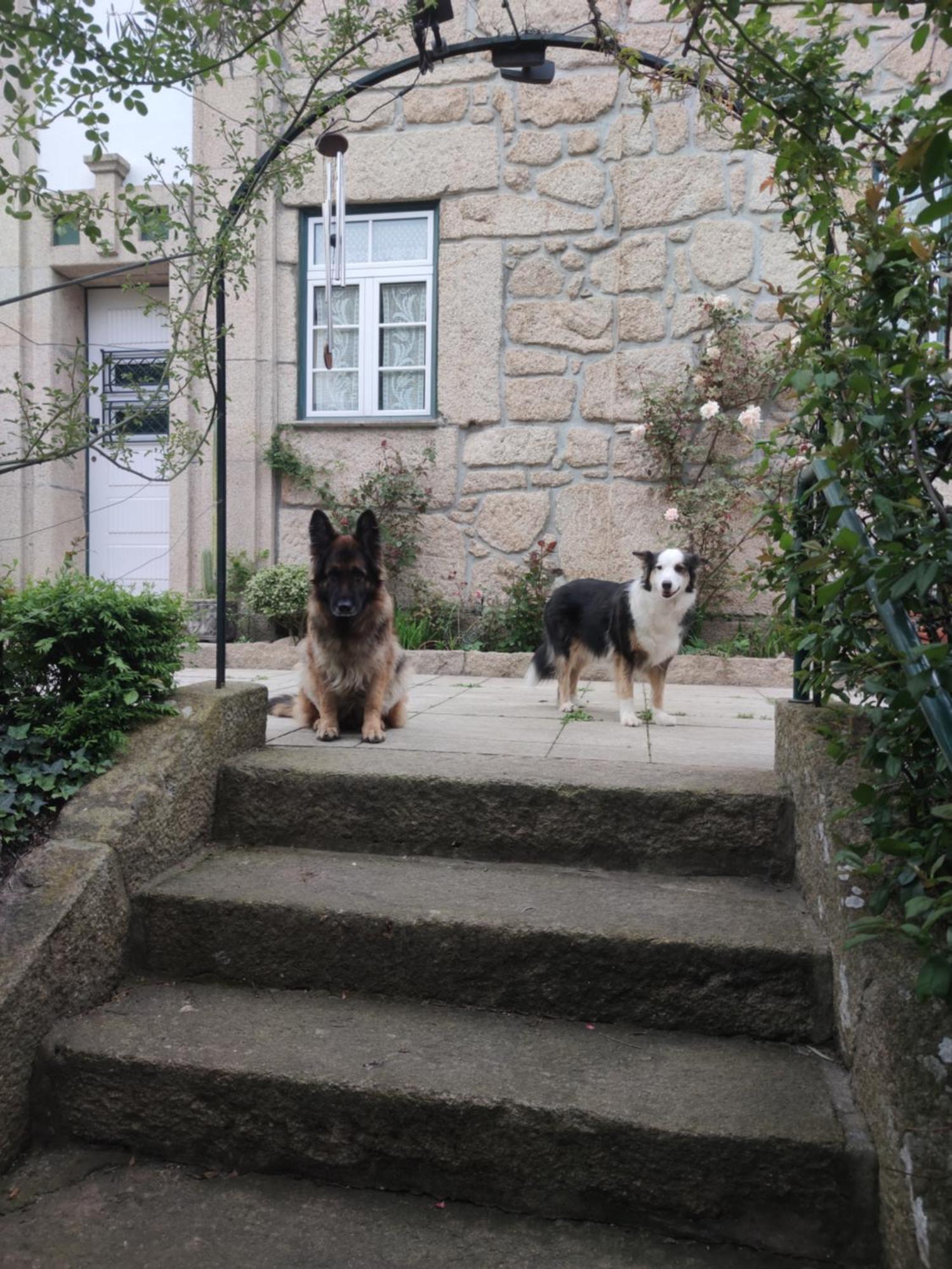 Real Santo Antonio Guest House Tarouca エクステリア 写真
