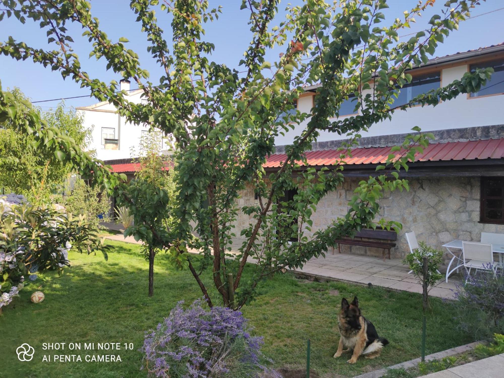 Real Santo Antonio Guest House Tarouca エクステリア 写真
