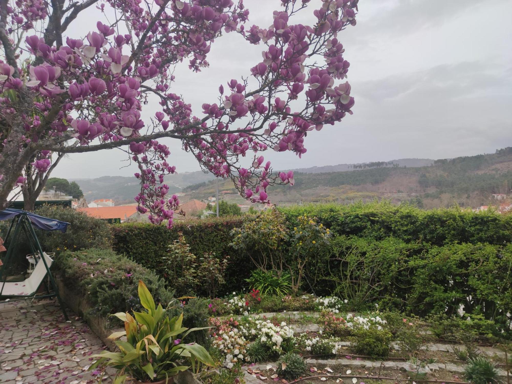 Real Santo Antonio Guest House Tarouca エクステリア 写真