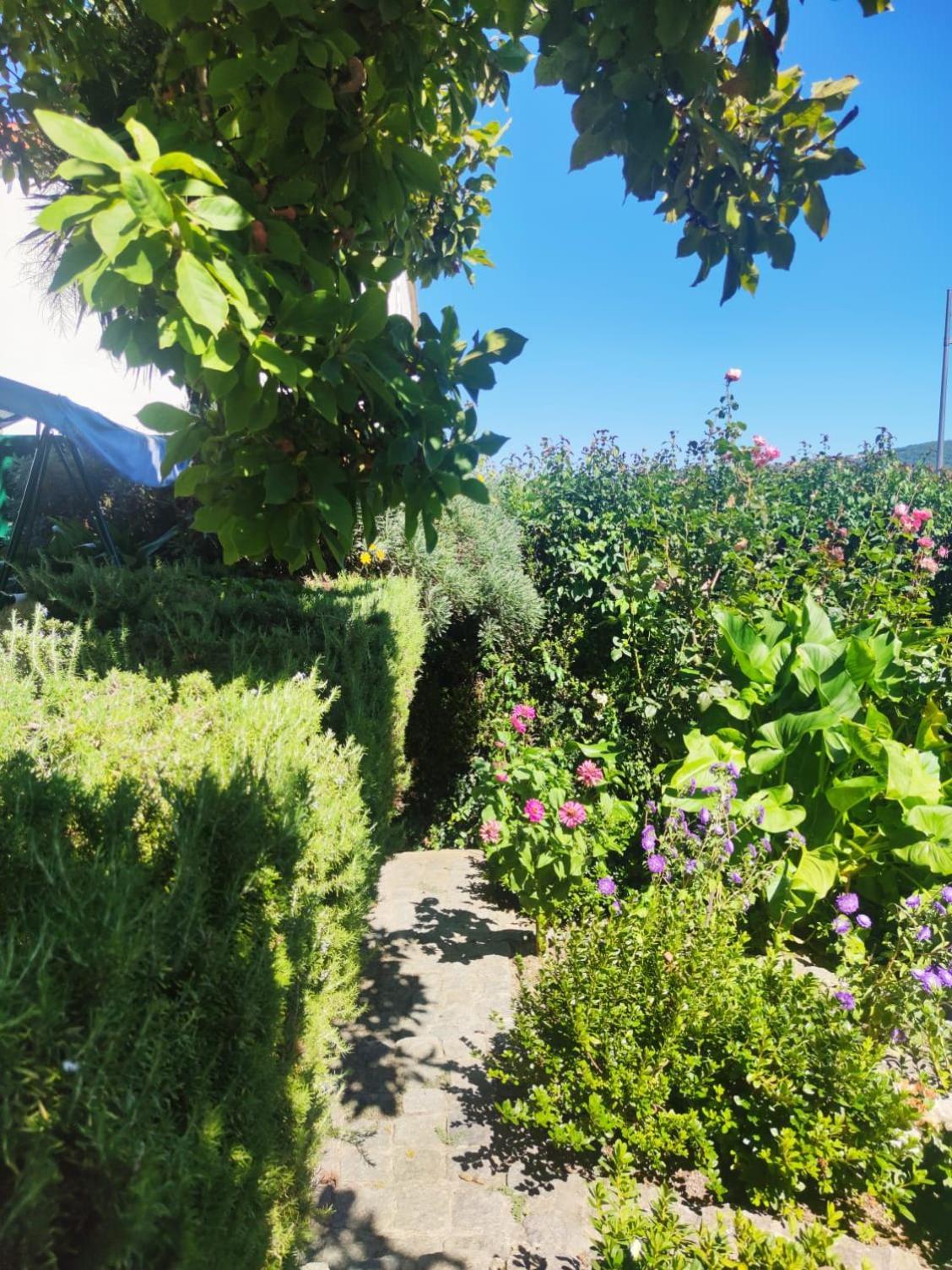 Real Santo Antonio Guest House Tarouca エクステリア 写真