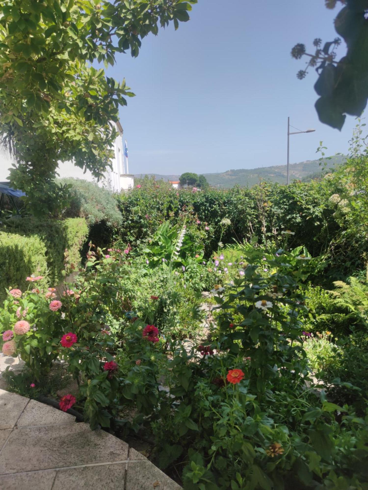 Real Santo Antonio Guest House Tarouca エクステリア 写真