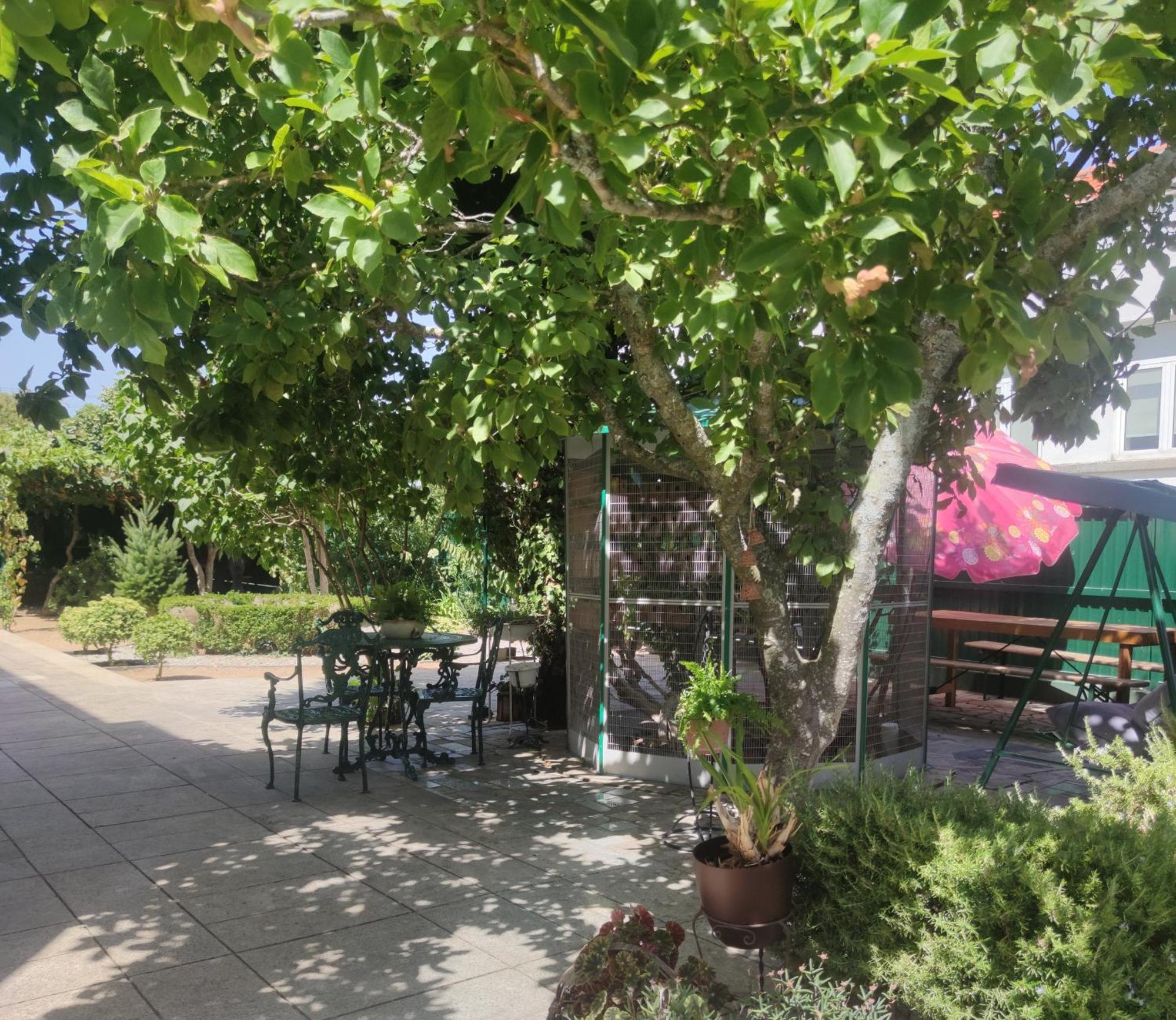 Real Santo Antonio Guest House Tarouca エクステリア 写真