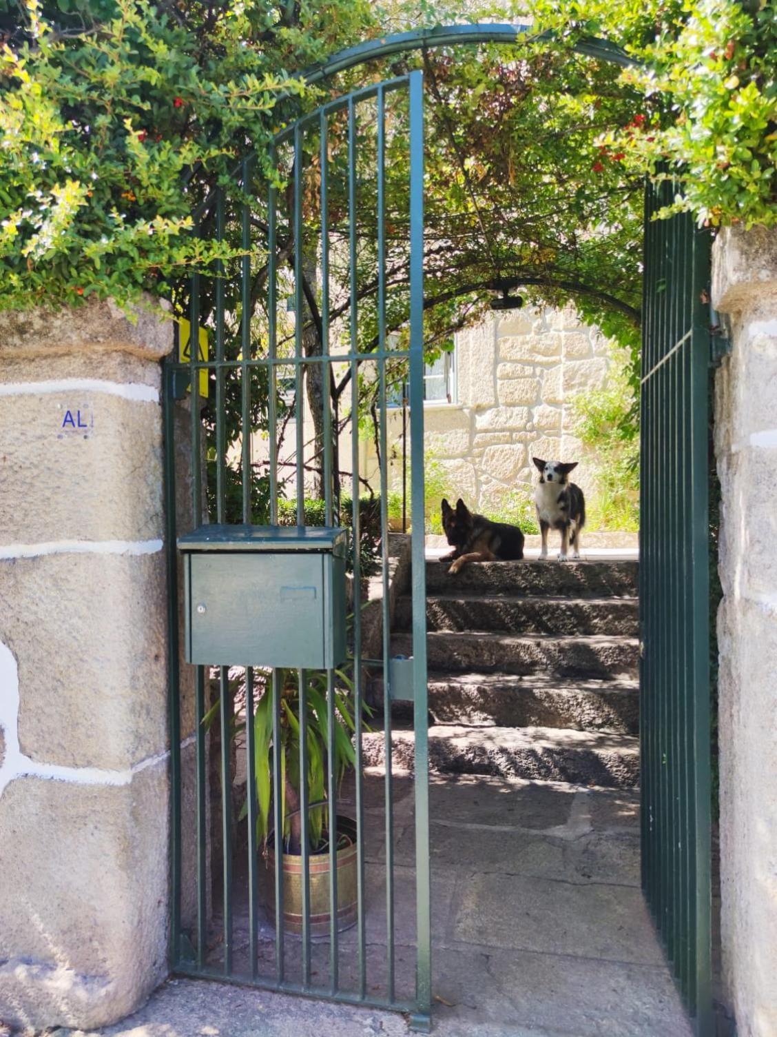 Real Santo Antonio Guest House Tarouca エクステリア 写真