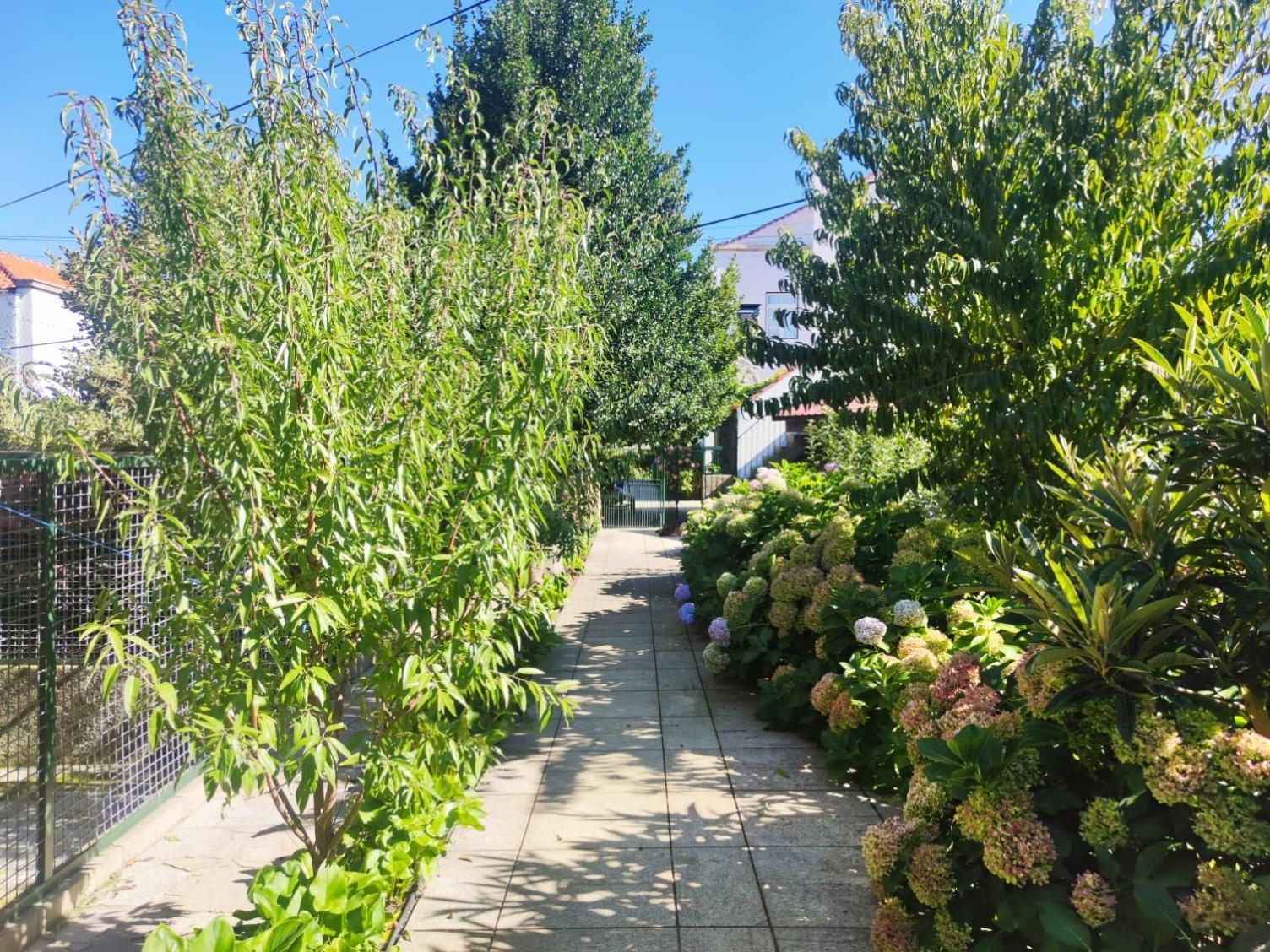 Real Santo Antonio Guest House Tarouca エクステリア 写真