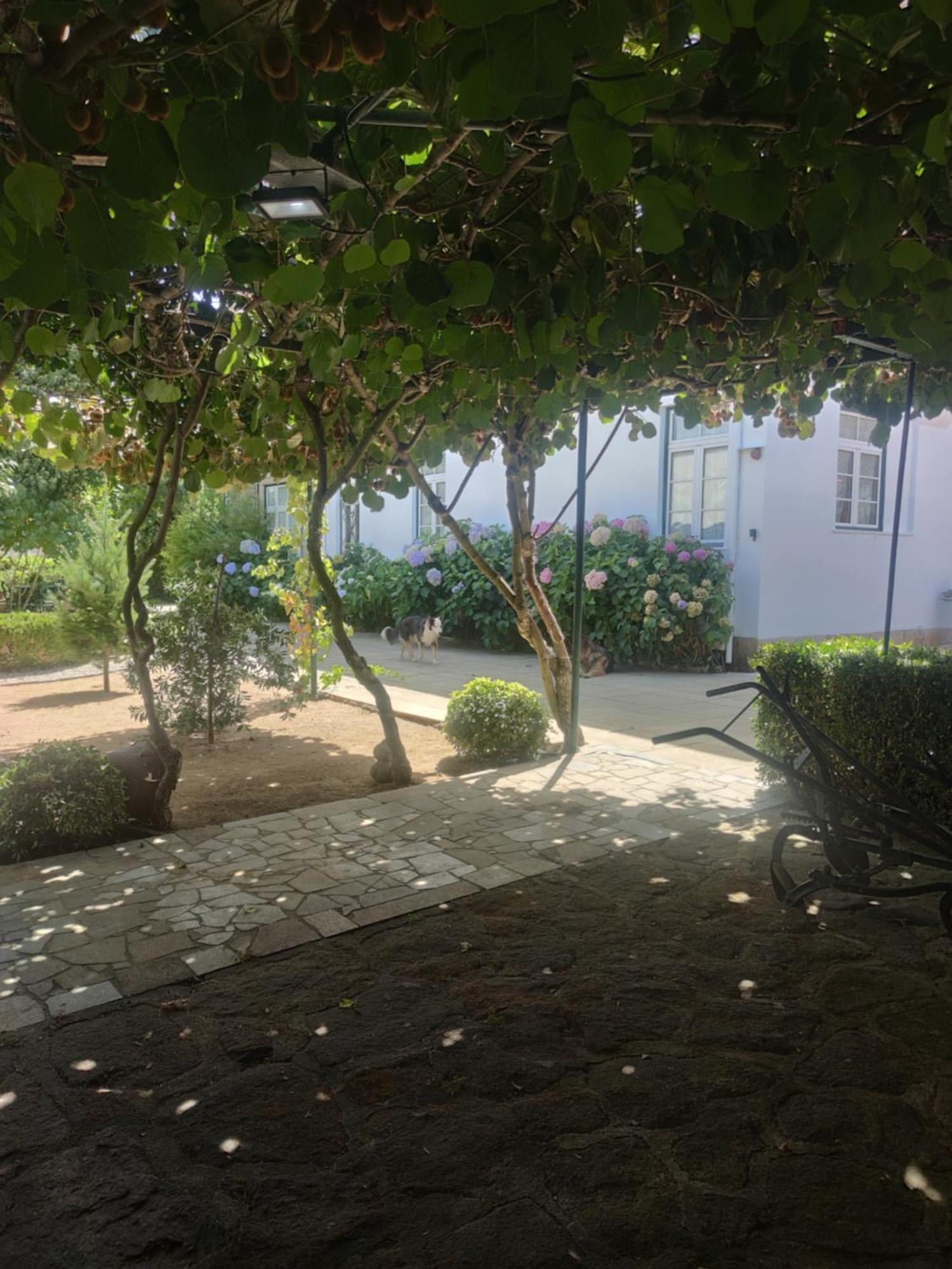 Real Santo Antonio Guest House Tarouca エクステリア 写真